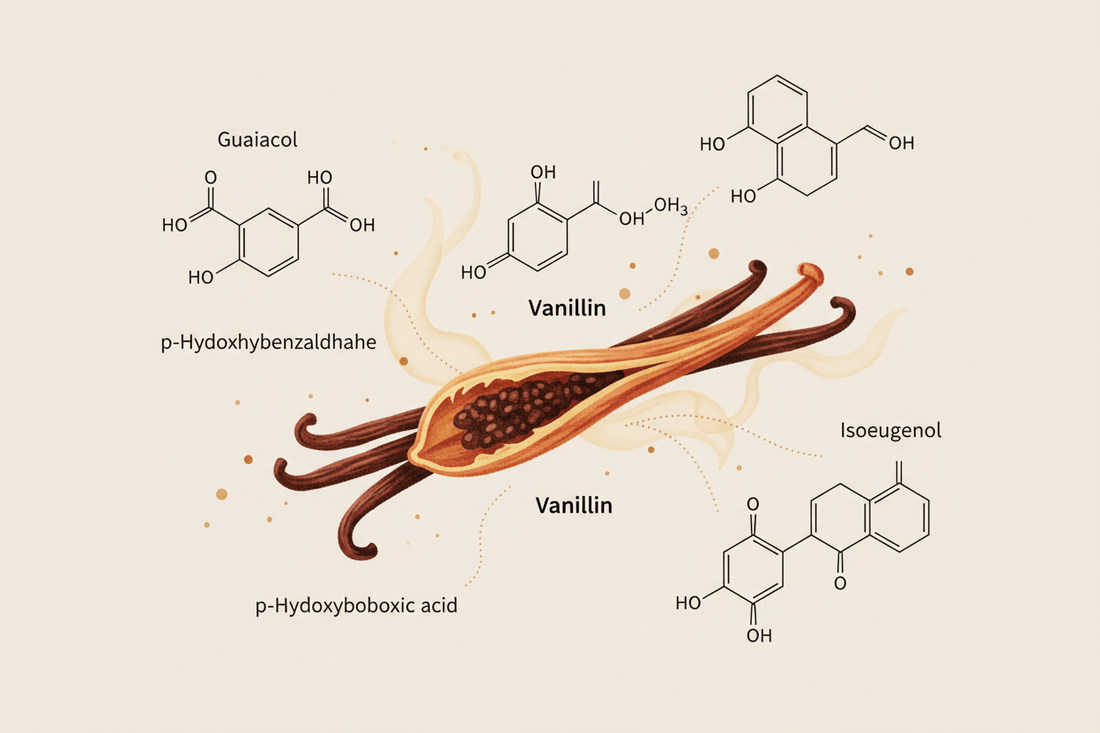 250 flavor compounds in a single vanilla bean! - Stavoren Trading Co.