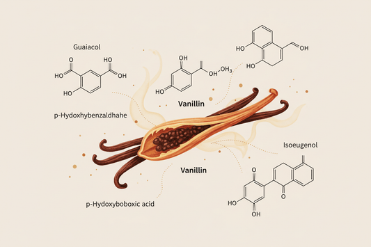 250 flavor compounds in a single vanilla bean! - Stavoren Trading Co.