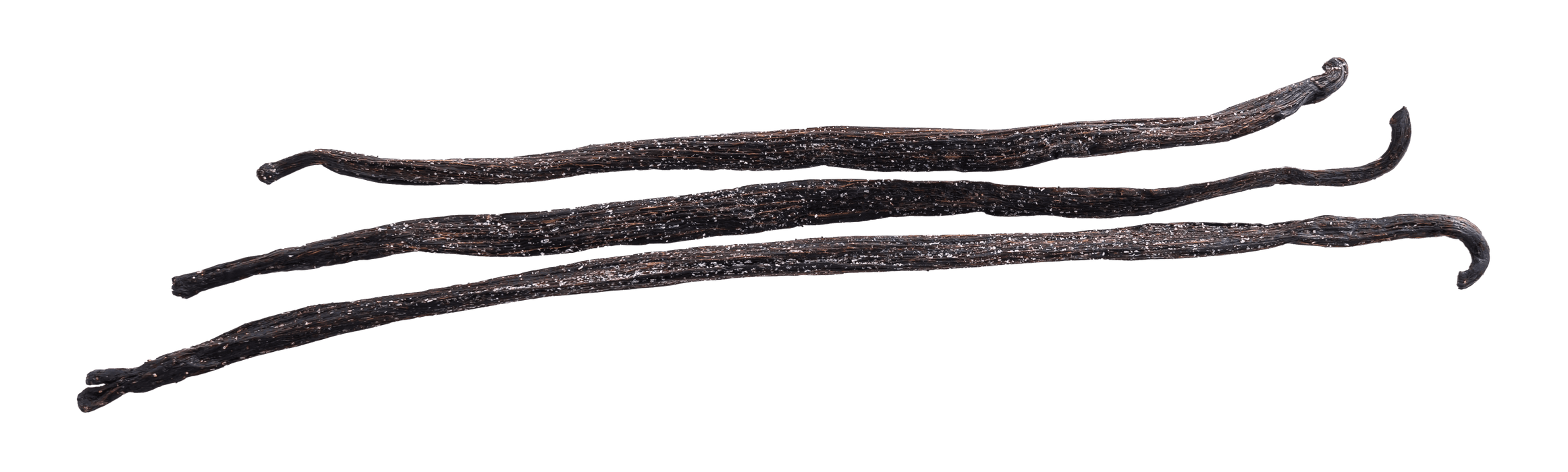 Ecuadorian Vanilla Beans - Grade A - Stavoren Trading Co.