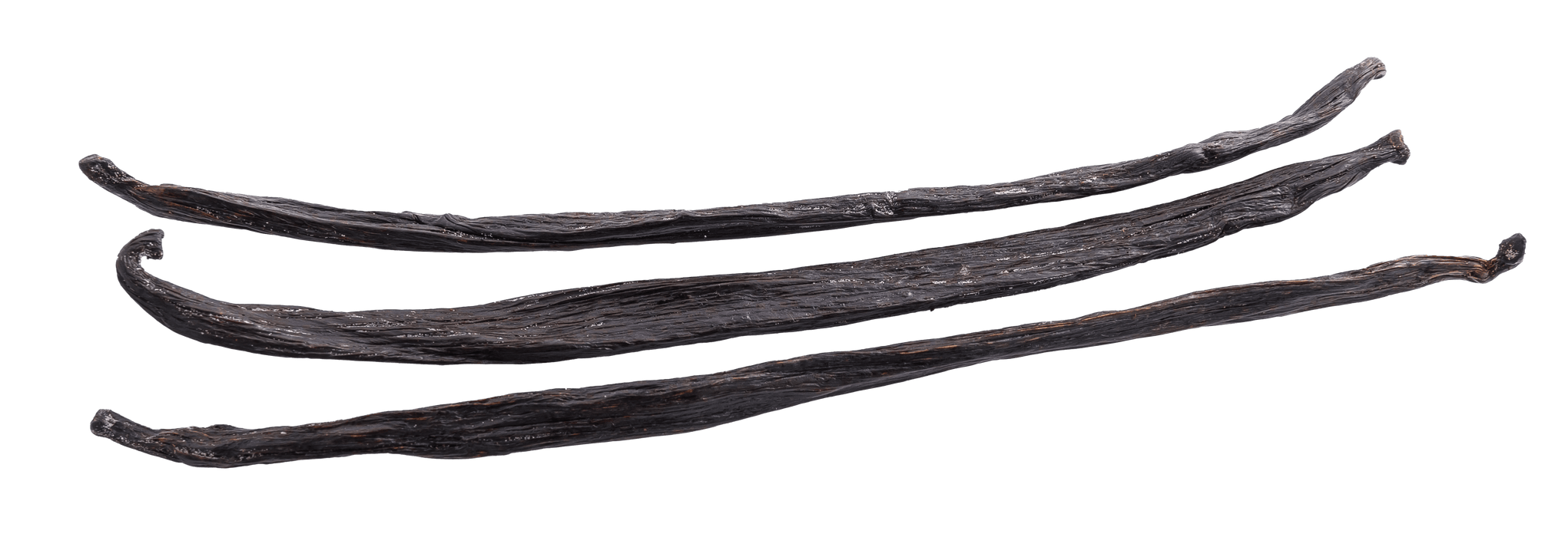 Madagascar Bourbon Vanilla Beans - Grade A - Stavoren Trading Co.