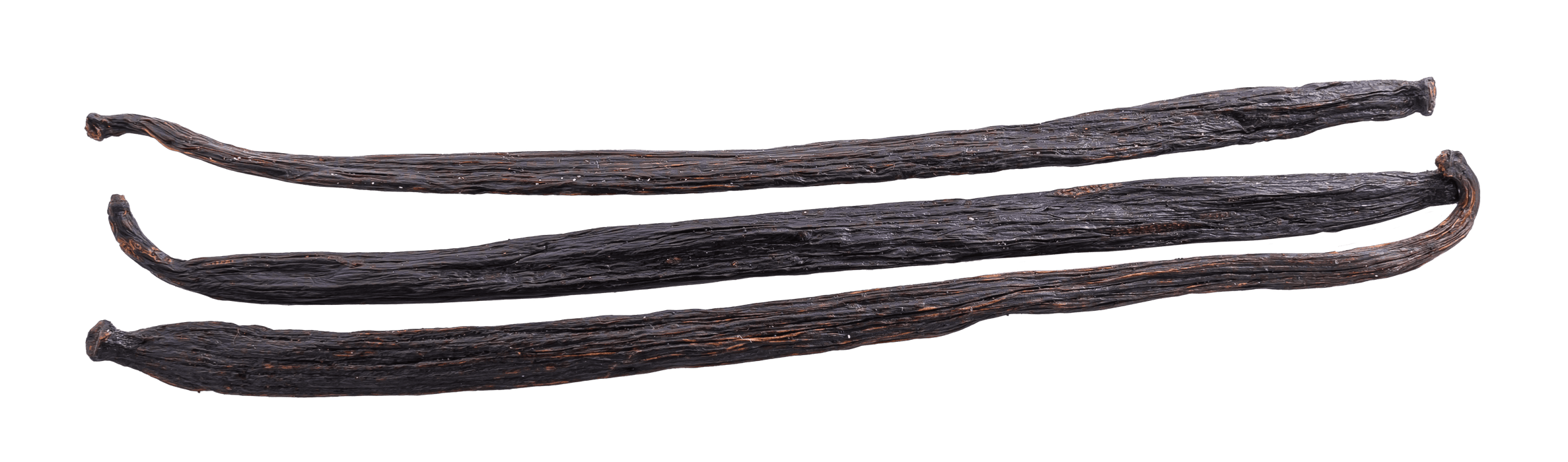 Mexican Vanilla Beans - Grade A - Stavoren Trading Co.